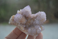 Natural Amethyst Spirit Quartz Clusters x 6 From Boekenhouthoek, South Africa - Toprock Gemstones and Minerals