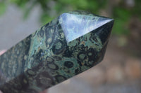 Polished Stromatolite Jasper Points x 3 From Madagascar - Toprock Gemstones and Minerals