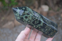 Polished Stromatolite Jasper Points x 3 From Madagascar - Toprock Gemstones and Minerals