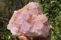 Natural Ametrine Spirit Quartz Clusters x 2 From Boekenhouthoek, South Africa - Toprock Gemstones and Minerals