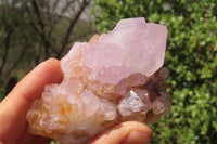Natural Ametrine Spirit Quartz Clusters x 2 From Boekenhouthoek, South Africa - Toprock Gemstones and Minerals