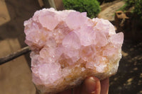 Natural Ametrine Spirit Quartz Clusters x 2 From Boekenhouthoek, South Africa - Toprock Gemstones and Minerals