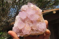 Natural Ametrine Spirit Quartz Clusters x 2 From Boekenhouthoek, South Africa - Toprock Gemstones and Minerals