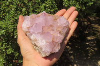 Natural Ametrine Spirit Quartz Clusters x 2 From Boekenhouthoek, South Africa - Toprock Gemstones and Minerals