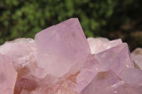 Natural Ametrine Spirit Quartz Clusters x 2 From Boekenhouthoek, South Africa - Toprock Gemstones and Minerals