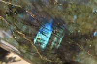 Polished Labradorite Standing Free Forms x 2 From Tulear, Madagascar - Toprock Gemstones and Minerals