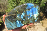 Polished Labradorite Standing Free Forms x 2 From Tulear, Madagascar - Toprock Gemstones and Minerals