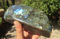 Polished Labradorite Standing Free Forms x 2 From Tulear, Madagascar - Toprock Gemstones and Minerals