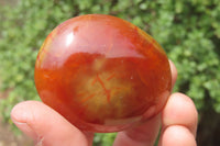 Polished Carnelian Palm Stones x 12 From Madagascar - Toprock Gemstones and Minerals