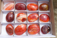 Polished Carnelian Palm Stones x 12 From Madagascar - Toprock Gemstones and Minerals