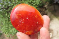 Polished Carnelian Palm Stones x 12 From Madagascar - Toprock Gemstones and Minerals