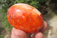 Polished Carnelian Palm Stones x 12 From Madagascar - Toprock Gemstones and Minerals