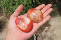 Polished Carnelian Palm Stones x 12 From Madagascar - Toprock Gemstones and Minerals
