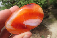 Polished Carnelian Palm Stones x 12 From Madagascar - Toprock Gemstones and Minerals