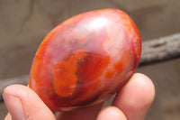 Polished Carnelian Palm Stones x 12 From Madagascar - Toprock Gemstones and Minerals