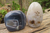 Polished Dendritic Agate Standing Free Forms x 6 From Madagascar - Toprock Gemstones and Minerals