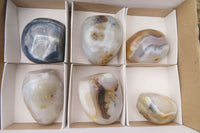 Polished Dendritic Agate Standing Free Forms x 6 From Madagascar - Toprock Gemstones and Minerals