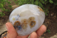 Polished Dendritic Agate Standing Free Forms x 6 From Madagascar - Toprock Gemstones and Minerals