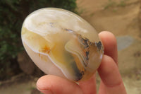 Polished Dendritic Agate Standing Free Forms x 6 From Madagascar - Toprock Gemstones and Minerals