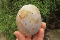 Polished Dendritic Agate Standing Free Forms x 6 From Madagascar - Toprock Gemstones and Minerals