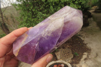 Polished Chevron Amethyst Points x 2 From Madagascar - Toprock Gemstones and Minerals