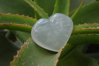 Polished Girasol Quartz Gemstone Hearts x 12 From Madagascar - Toprock Gemstones and Minerals