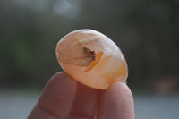 Polished Flower Agate Palm Stones x 35 From Madagascar - Toprock Gemstones and Minerals