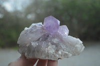Natural Jacaranda Amethyst Quartz Clusters x 6 from Mumbwa, Zambia - Toprock Gemstones and Minerals