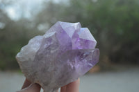 Natural Jacaranda Amethyst Quartz Clusters x 6 from Mumbwa, Zambia - Toprock Gemstones and Minerals