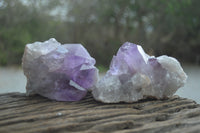 Natural Jacaranda Amethyst Quartz Clusters x 6 from Mumbwa, Zambia - Toprock Gemstones and Minerals