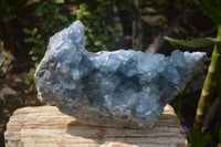 Natural Celestite Geode Specimen x 1 From Sakoany, Madagascar - Toprock Gemstones and Minerals
