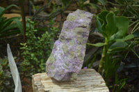 Natural Stichtite Cobbed Specimen x 1 From Barberton, South Africa - Toprock Gemstones and Minerals
