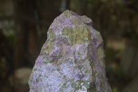 Natural Stichtite Cobbed Specimen x 1 From Barberton, South Africa - Toprock Gemstones and Minerals