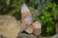 Natural Ametrine Spirit Quartz Clusters x 12 From Boekenhouthoek, South Africa - Toprock Gemstones and Minerals