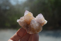 Natural Ametrine Spirit Quartz Clusters x 12 From Boekenhouthoek, South Africa - Toprock Gemstones and Minerals