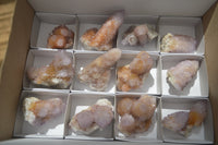 Natural Ametrine Spirit Quartz Clusters x 12 From Boekenhouthoek, South Africa - Toprock Gemstones and Minerals