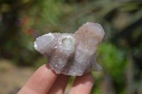 Natural Ametrine Spirit Quartz Clusters x 12 From Boekenhouthoek, South Africa - Toprock Gemstones and Minerals