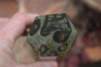 Polished Stromatolite Jasper Points x 3 From Katsepy, Madagascar - Toprock Gemstones and Minerals
