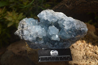 Natural Celestite Specimen x 1 From Sakoany, Madagascar - Toprock Gemstones and Minerals