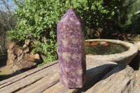 Polished Lepidolite Points x 3 From Madagascar - Toprock Gemstones and Minerals