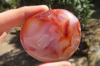 Polished Carnelian Palm Stones x 12 From Madagascar - Toprock Gemstones and Minerals