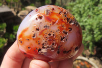 Polished Carnelian Palm Stones x 12 From Madagascar - Toprock Gemstones and Minerals