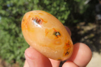 Polished Carnelian Palm Stones x 12 From Madagascar - Toprock Gemstones and Minerals
