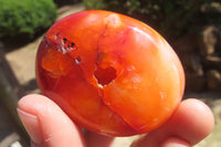 Polished Carnelian Palm Stones x 12 From Madagascar - Toprock Gemstones and Minerals