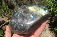 Polished Labradorite Standing Free Form x 1 From Madagascar - Toprock Gemstones and Minerals