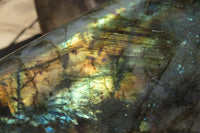 Polished Labradorite Standing Free Form x 1 From Madagascar - Toprock Gemstones and Minerals