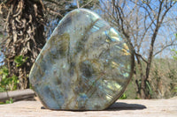 Polished Labradorite Standing Free Form x 1 From Madagascar - Toprock Gemstones and Minerals