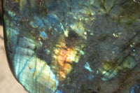 Polished Labradorite Standing Free Form x 1 From Madagascar - Toprock Gemstones and Minerals