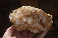Natural Limonite Quartz Geodes x 4 From Solwezi, Zambia - Toprock Gemstones and Minerals