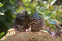 Polished Smokey Amethyst Window Quartz Points x 20 From Akansobe, Madagascar - Toprock Gemstones and Minerals